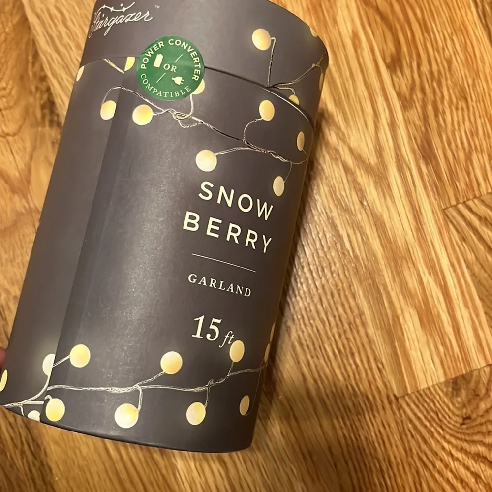 NWT Anthropologie Terrain Stargazer Snowberry Garland 15’